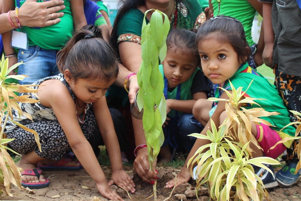 Plantation Day Celebration