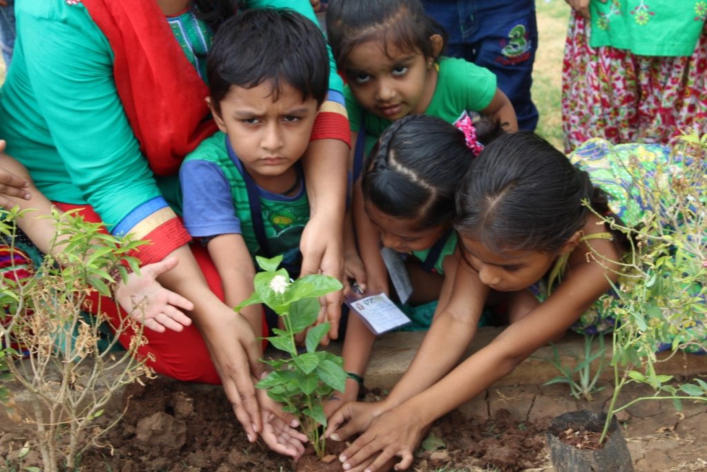 Plantation Day Celebration