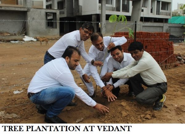 TREE PLANTATION